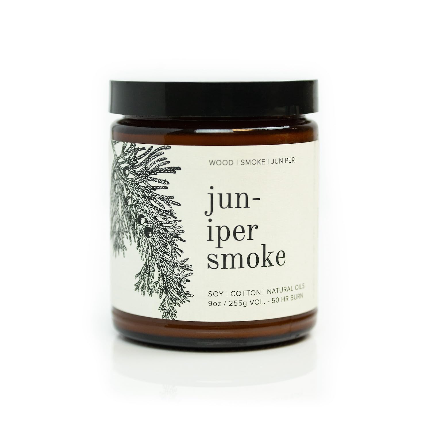 Broken Top Saguaro Cactus Pure Soy Candle | 9 oz. | Agave, Aloe & Moss. 50-Hour Burn Time. Natural Cotton Wick, Vegan, No Parabens, No Phthalates