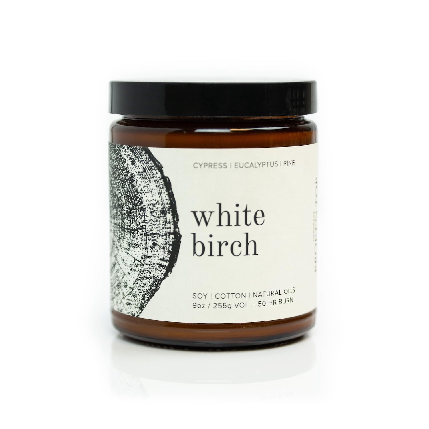 Broken Top Saguaro Cactus Pure Soy Candle | 9 oz. | Agave, Aloe & Moss. 50-Hour Burn Time. Natural Cotton Wick, Vegan, No Parabens, No Phthalates
