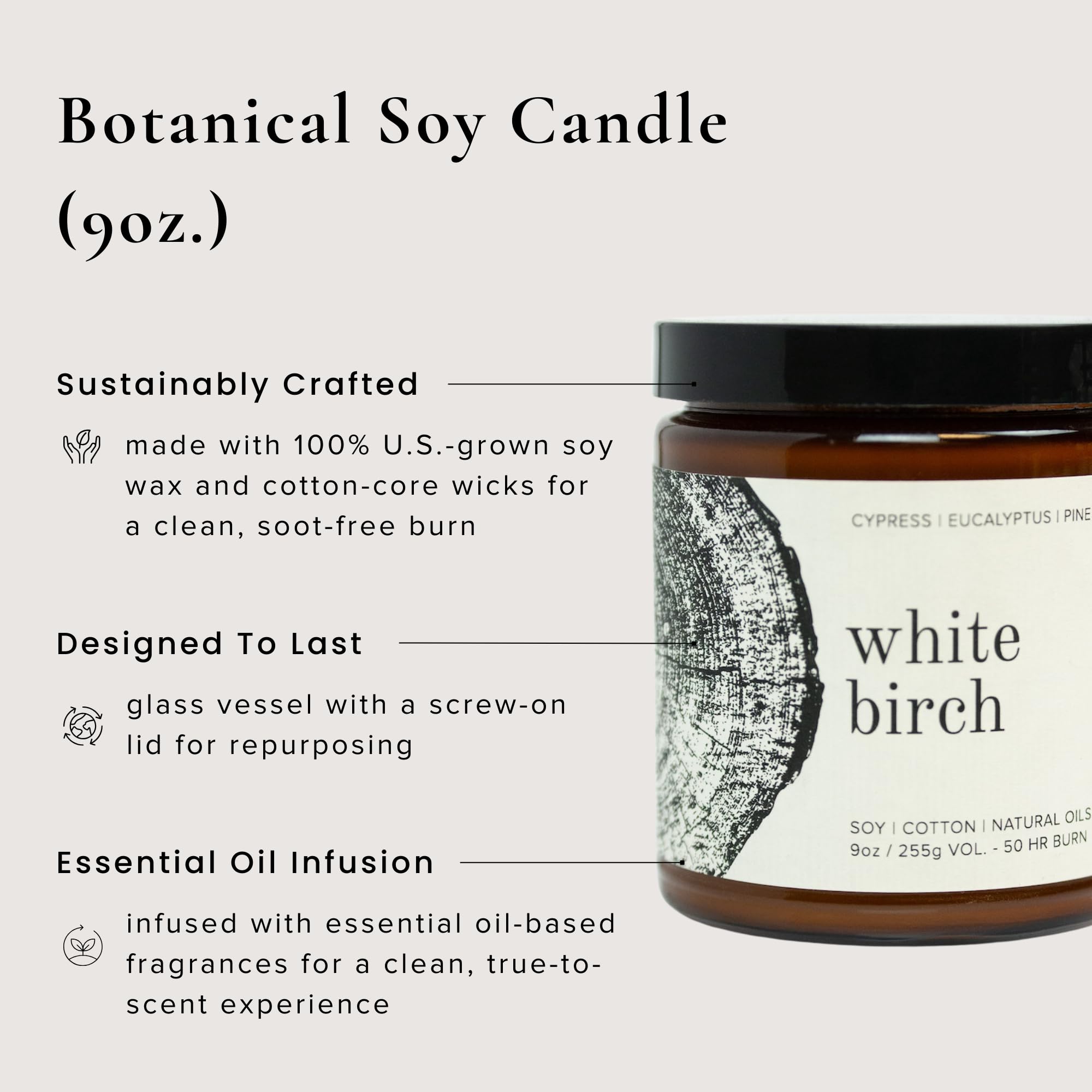 Broken Top Saguaro Cactus Pure Soy Candle | 9 oz. | Agave, Aloe & Moss. 50-Hour Burn Time. Natural Cotton Wick, Vegan, No Parabens, No Phthalates