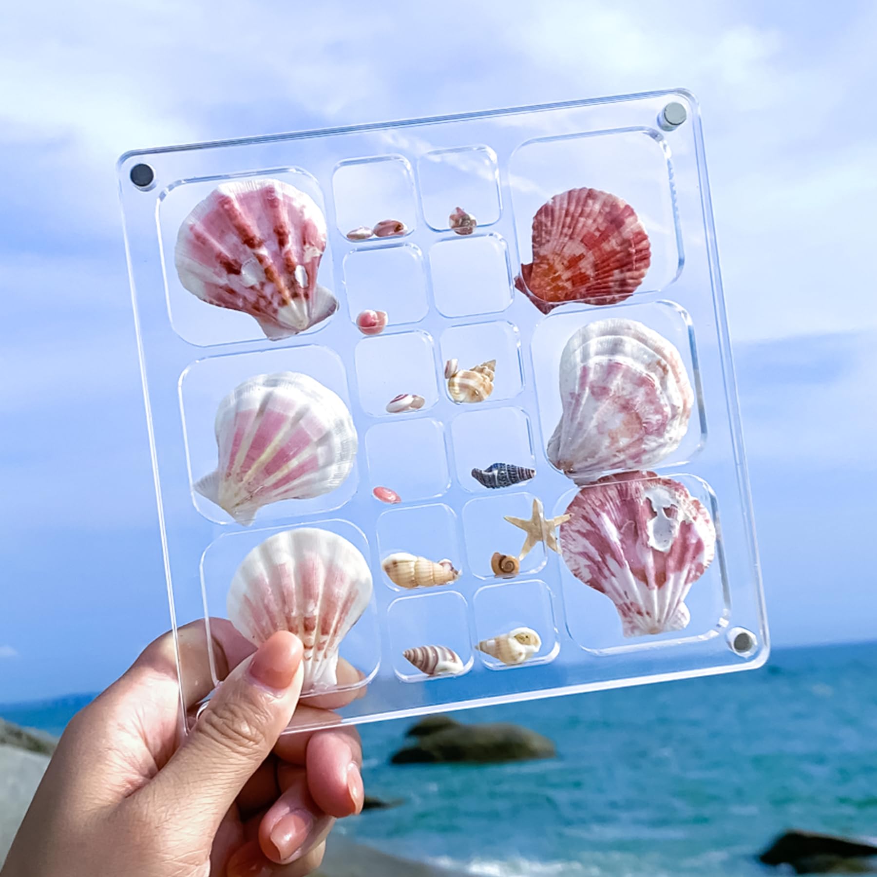 Multi-Style Clear Acrylic Magnetic Seashell Display Collecting Box, Acrylic Shadow Box for Tiny Treasure Hunting Seashell Holder Display Grid Cabinet Case Box,Display Seashell Jewelry Crystal