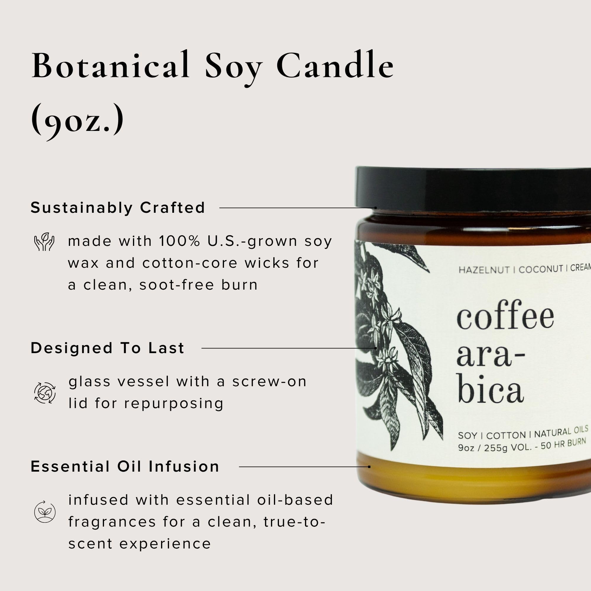 Broken Top Saguaro Cactus Pure Soy Candle | 9 oz. | Agave, Aloe & Moss. 50-Hour Burn Time. Natural Cotton Wick, Vegan, No Parabens, No Phthalates