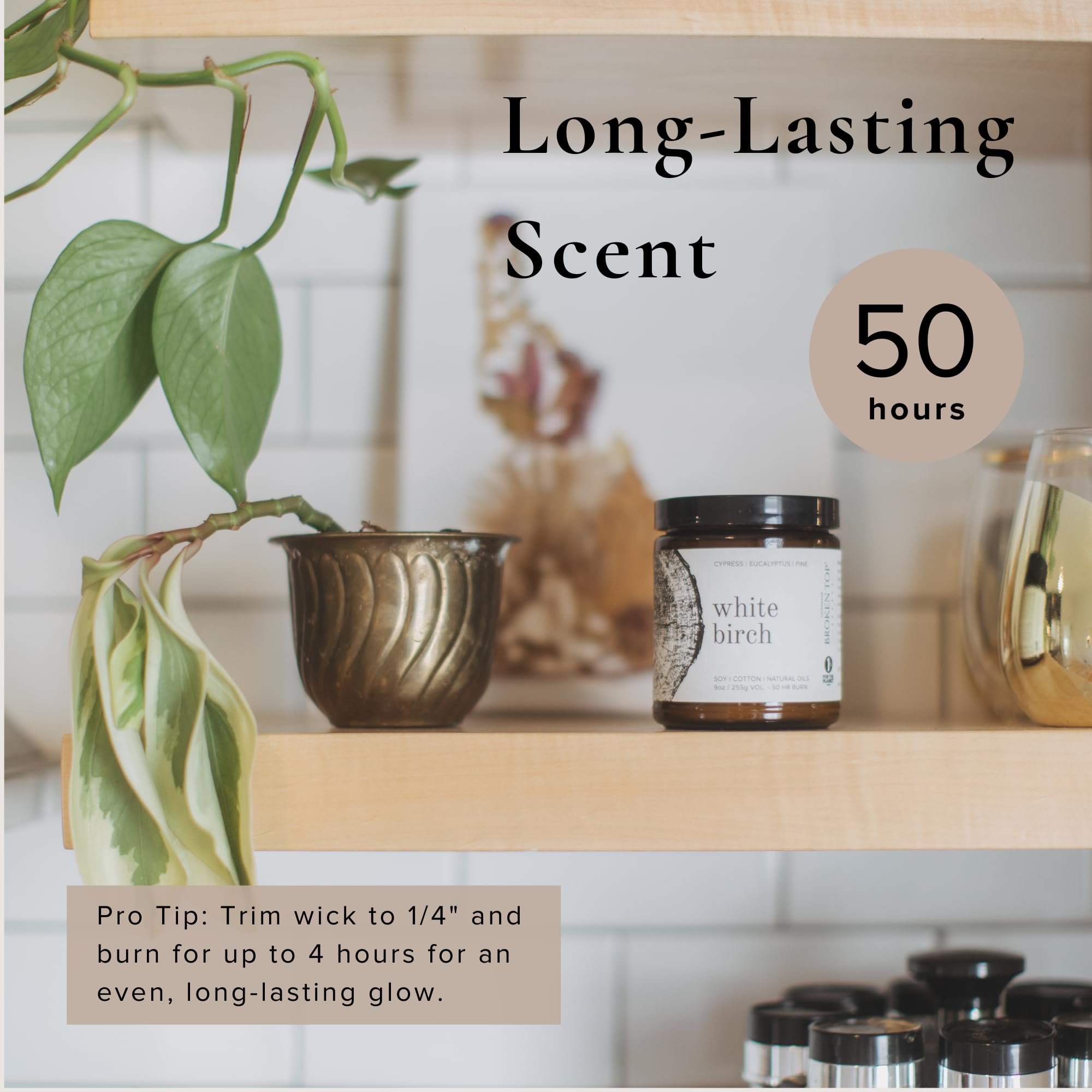 Broken Top Saguaro Cactus Pure Soy Candle | 9 oz. | Agave, Aloe & Moss. 50-Hour Burn Time. Natural Cotton Wick, Vegan, No Parabens, No Phthalates
