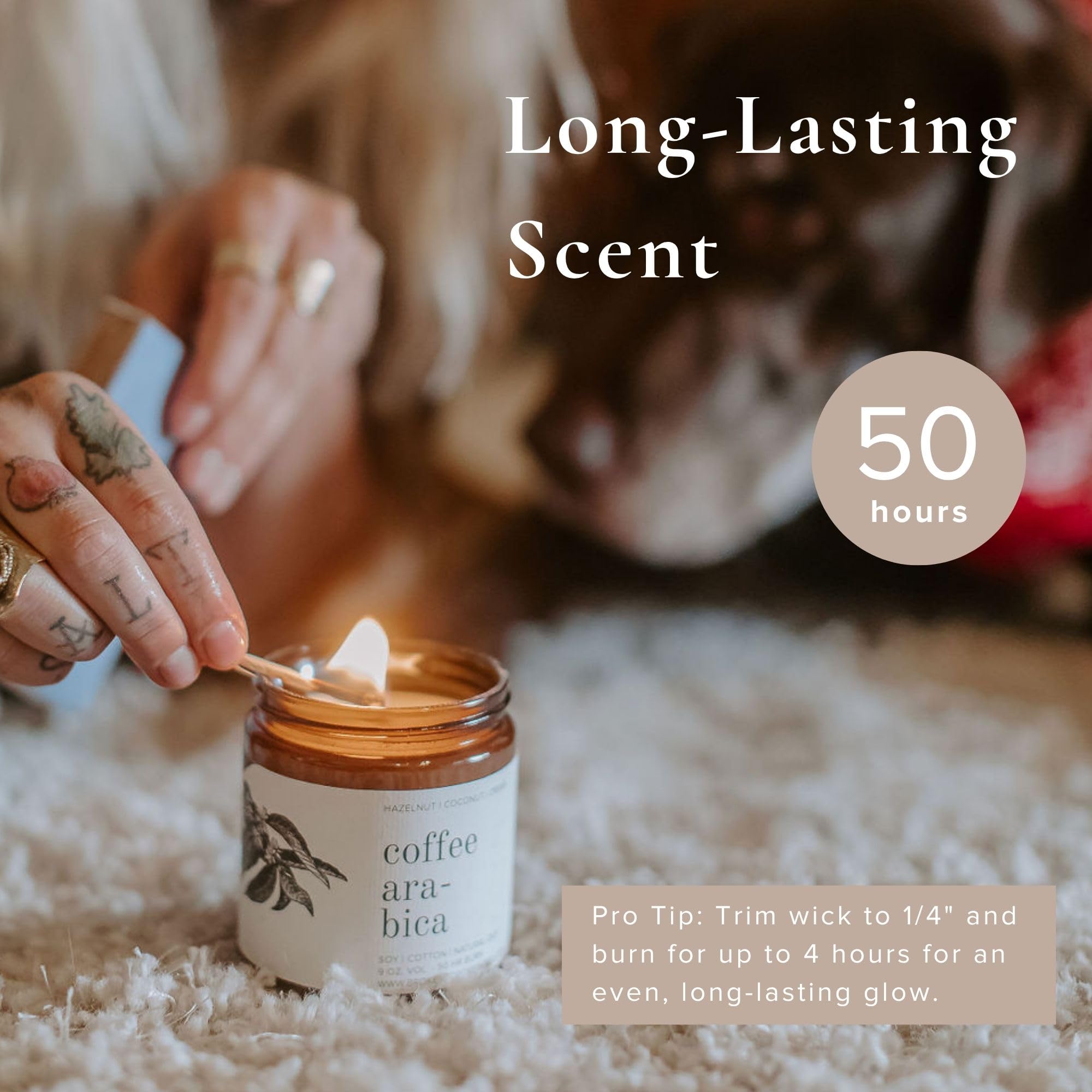 Broken Top Saguaro Cactus Pure Soy Candle | 9 oz. | Agave, Aloe & Moss. 50-Hour Burn Time. Natural Cotton Wick, Vegan, No Parabens, No Phthalates