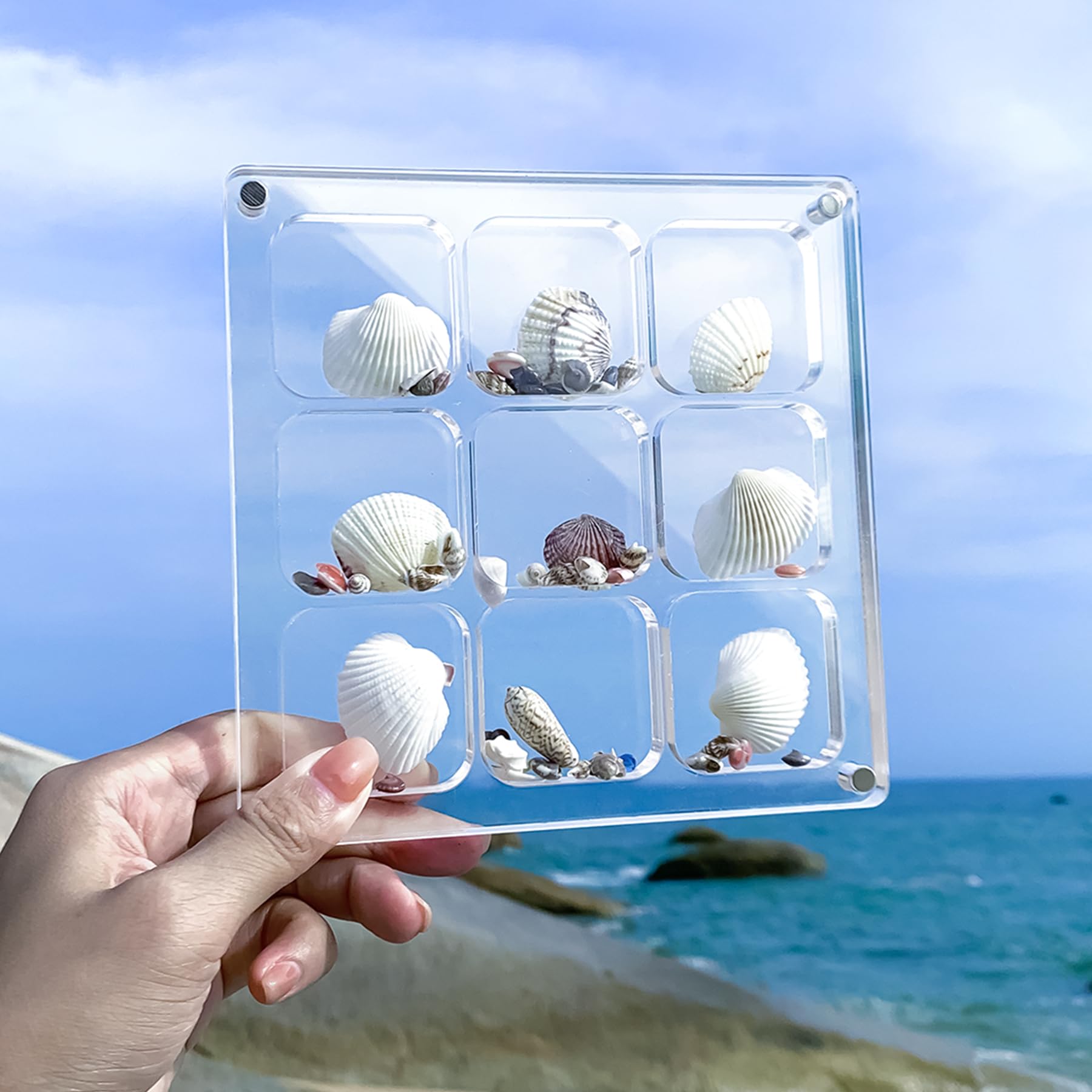 Multi-Style Clear Acrylic Magnetic Seashell Display Collecting Box, Acrylic Shadow Box for Tiny Treasure Hunting Seashell Holder Display Grid Cabinet Case Box,Display Seashell Jewelry Crystal