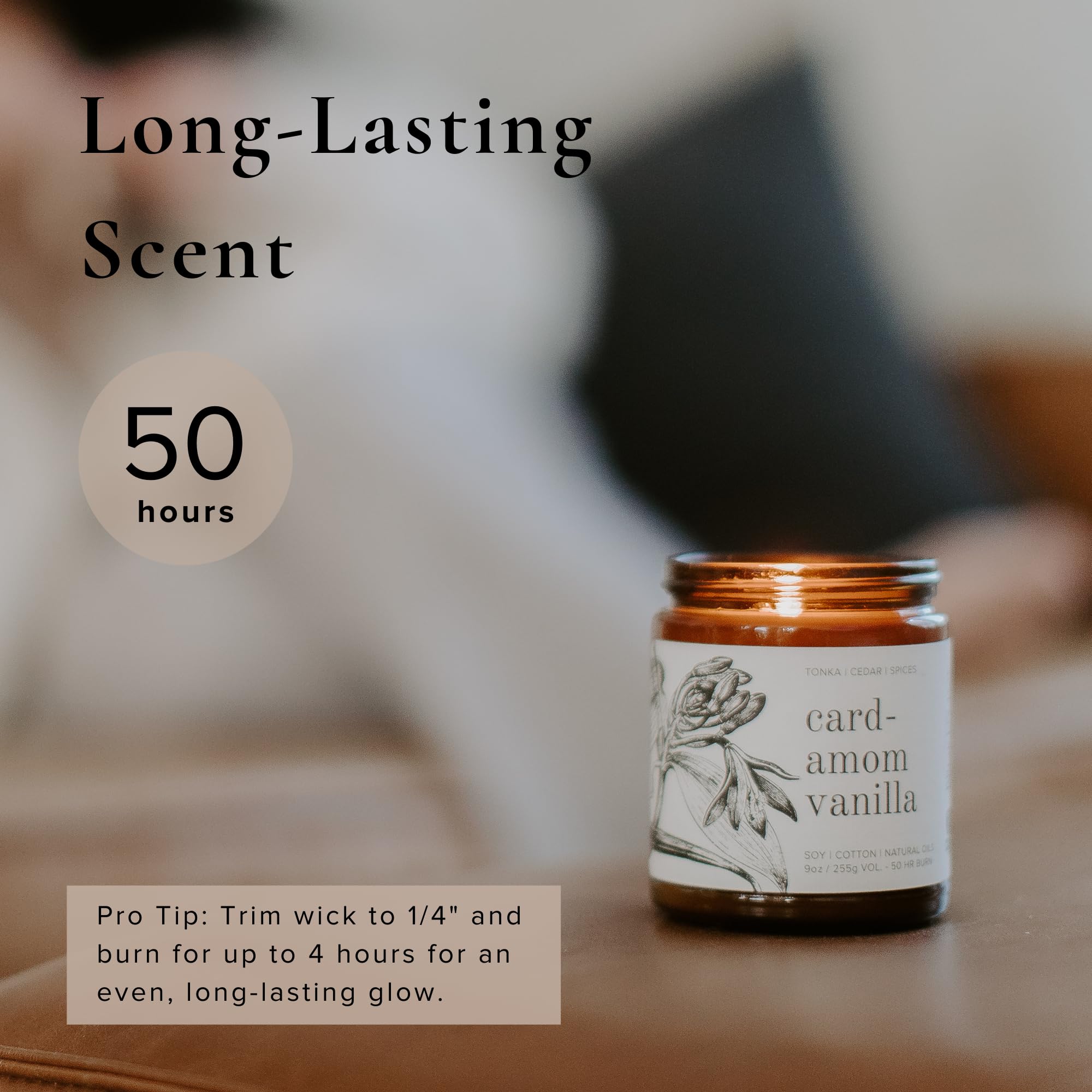 Broken Top Saguaro Cactus Pure Soy Candle | 9 oz. | Agave, Aloe & Moss. 50-Hour Burn Time. Natural Cotton Wick, Vegan, No Parabens, No Phthalates