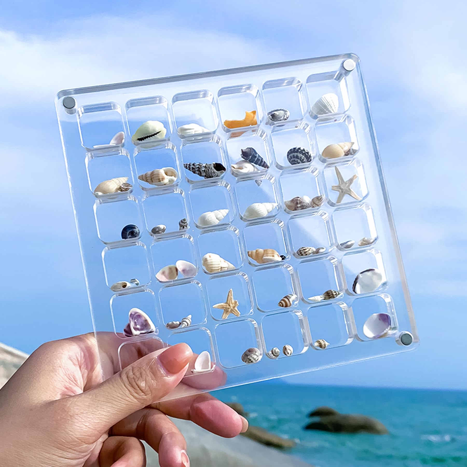 Multi-Style Clear Acrylic Magnetic Seashell Display Collecting Box, Acrylic Shadow Box for Tiny Treasure Hunting Seashell Holder Display Grid Cabinet Case Box,Display Seashell Jewelry Crystal