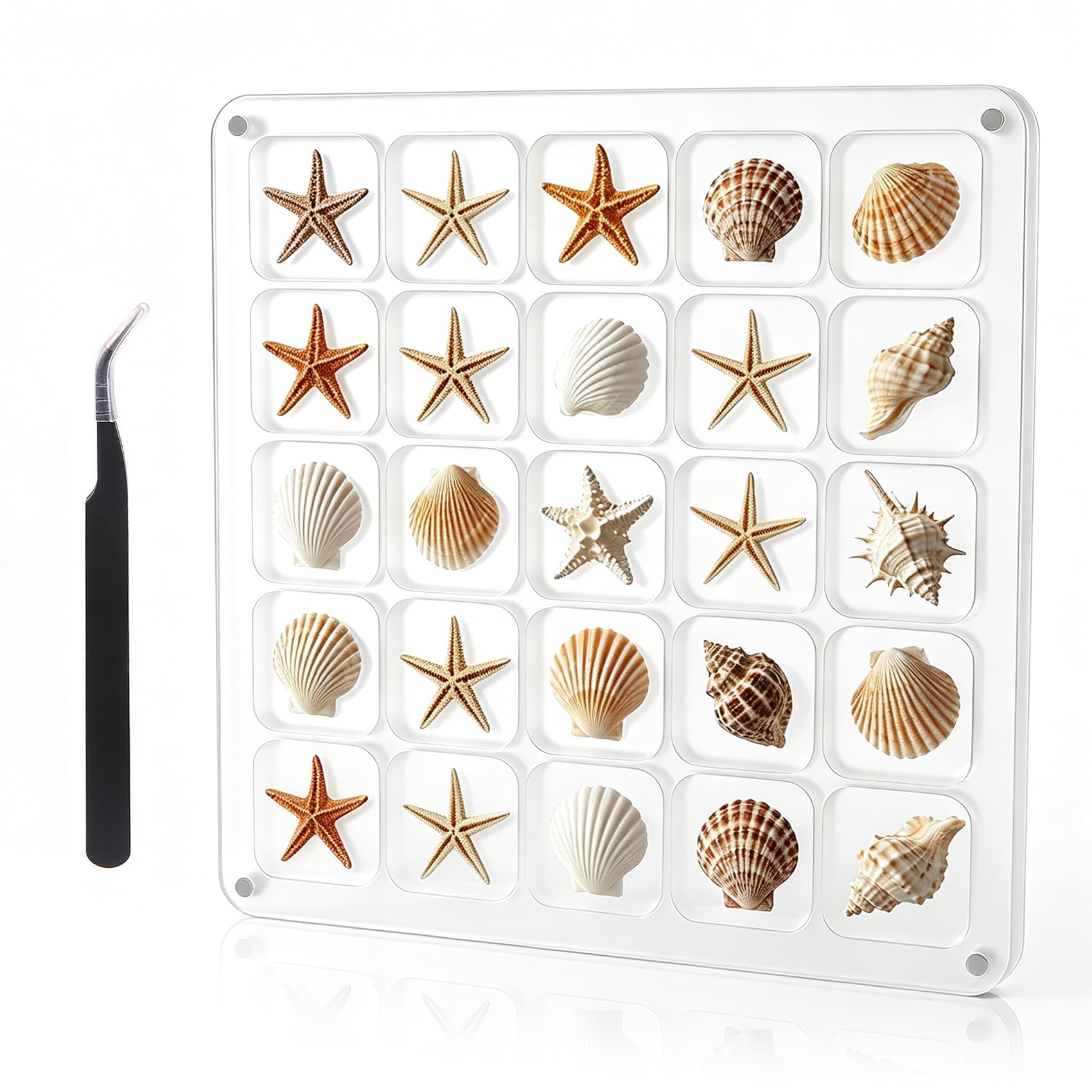 Multi-Style Clear Acrylic Magnetic Seashell Display Collecting Box, Acrylic Shadow Box for Tiny Treasure Hunting Seashell Holder Display Grid Cabinet Case Box,Display Seashell Jewelry Crystal