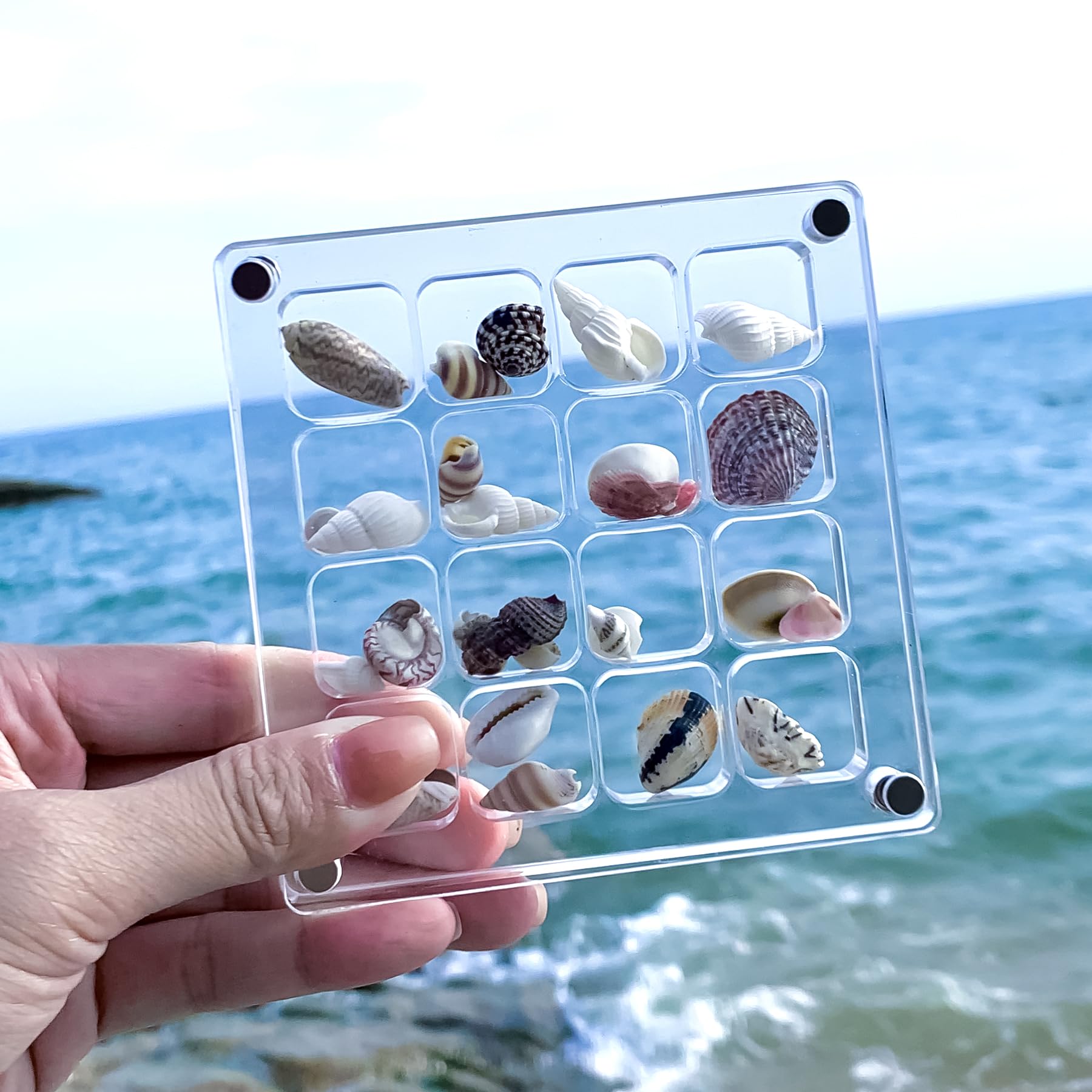 Multi-Style Clear Acrylic Magnetic Seashell Display Collecting Box, Acrylic Shadow Box for Tiny Treasure Hunting Seashell Holder Display Grid Cabinet Case Box,Display Seashell Jewelry Crystal