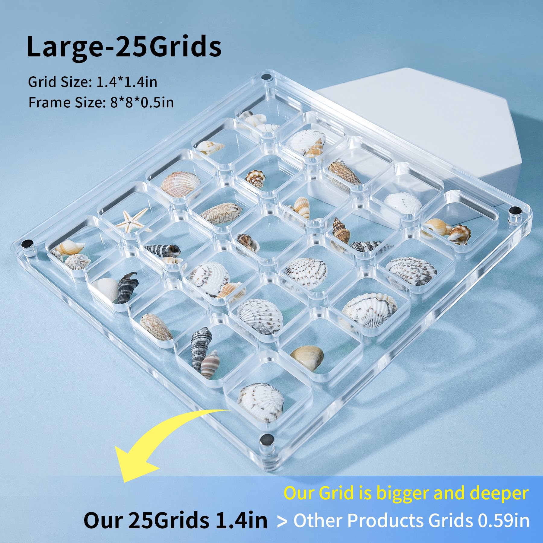 Multi-Style Clear Acrylic Magnetic Seashell Display Collecting Box, Acrylic Shadow Box for Tiny Treasure Hunting Seashell Holder Display Grid Cabinet Case Box,Display Seashell Jewelry Crystal