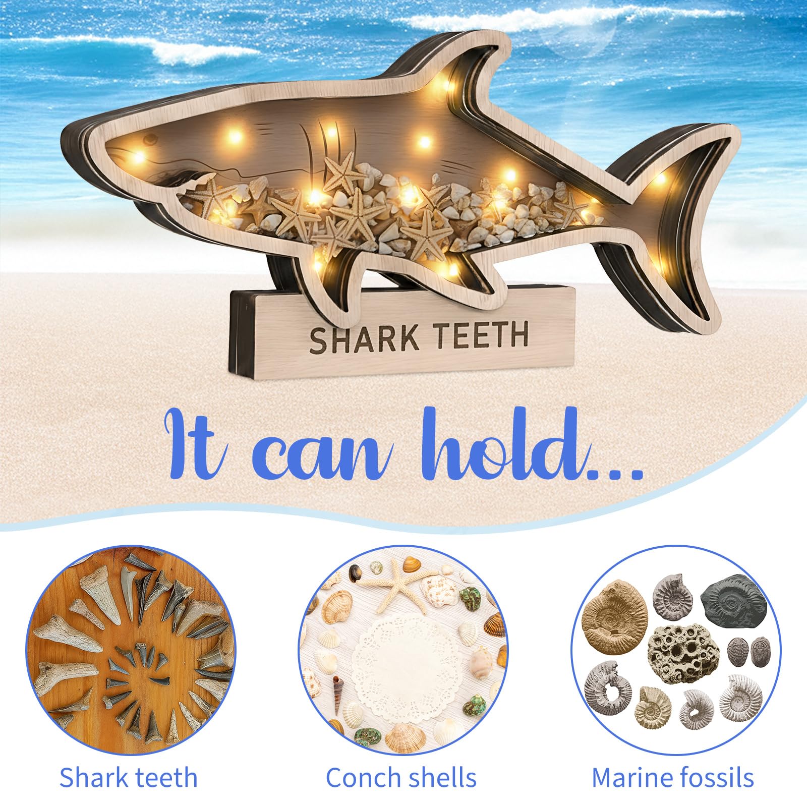 FoldTier Shark Tooth Display Case with Light 9.8 in Wooden Shark Teeth Holder Shadow Box Sharks Stuff Gift for Collectors Lovers Son Grandson Vacation Ocean Beach Home Decor