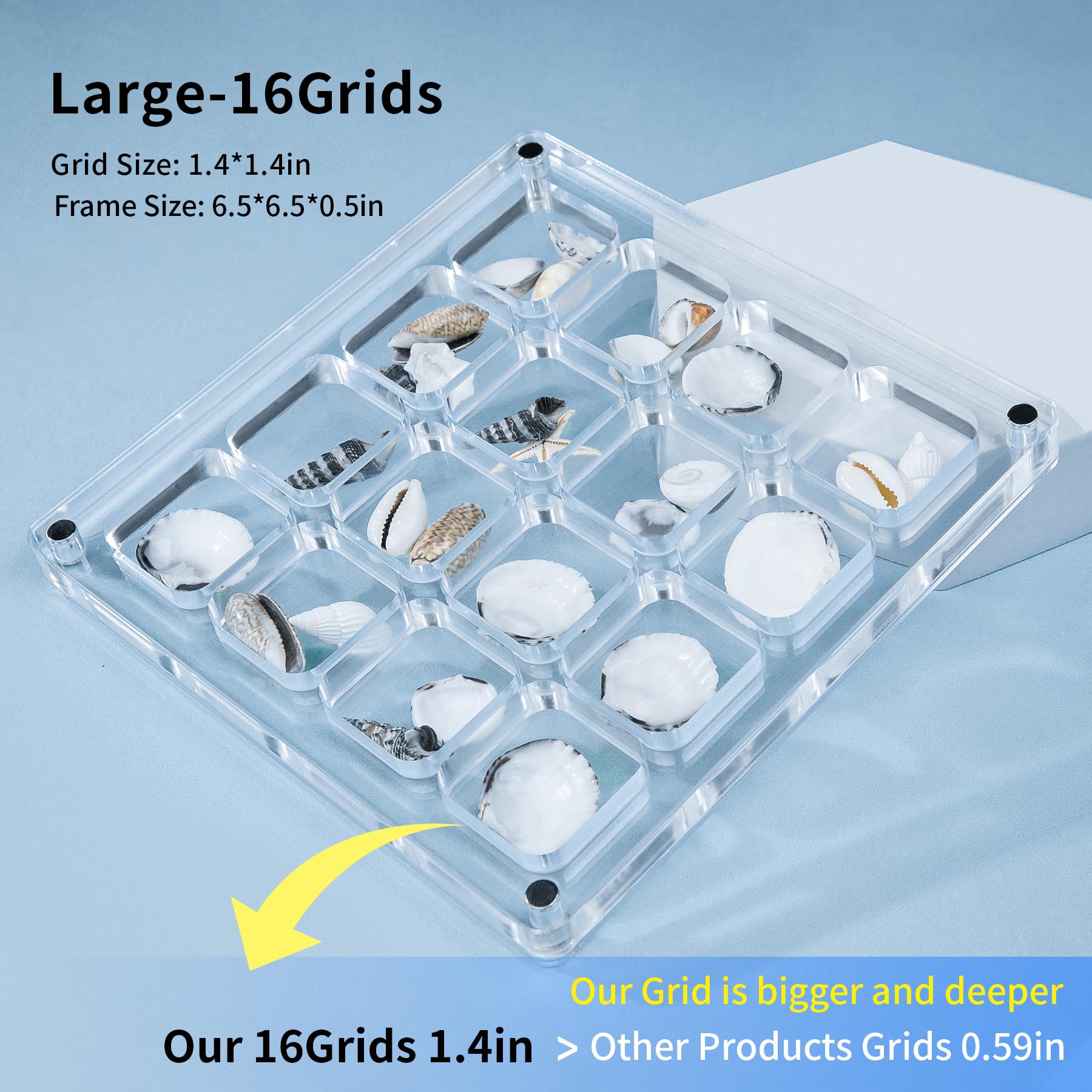 Multi-Style Clear Acrylic Magnetic Seashell Display Collecting Box, Acrylic Shadow Box for Tiny Treasure Hunting Seashell Holder Display Grid Cabinet Case Box,Display Seashell Jewelry Crystal