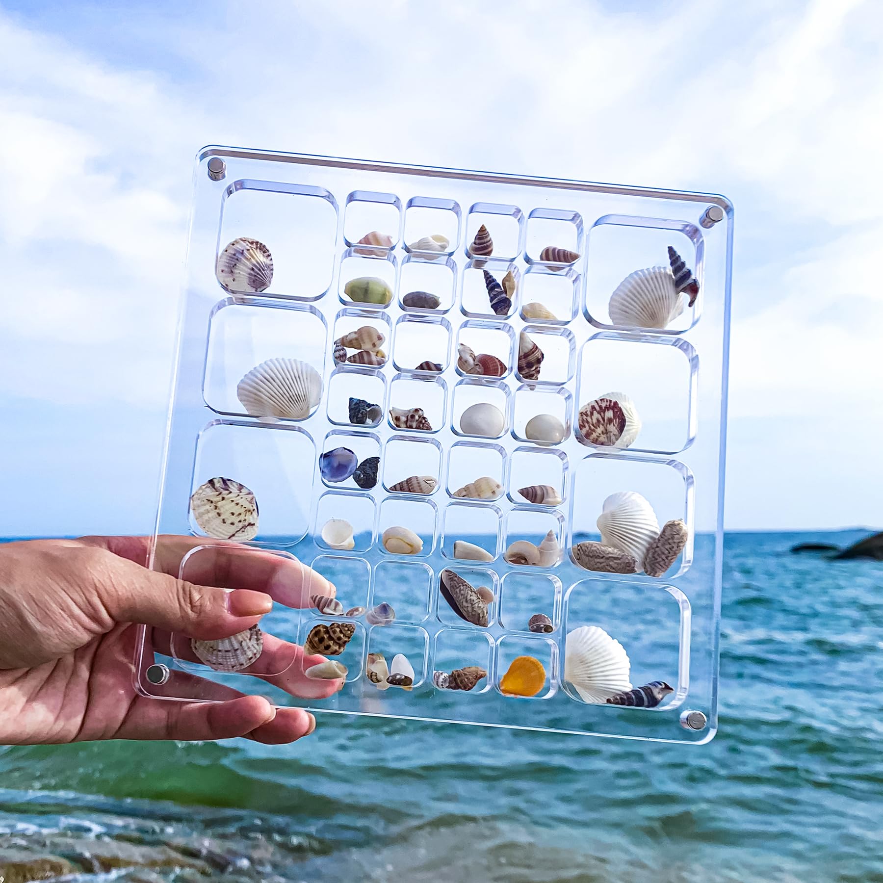 Multi-Style Clear Acrylic Magnetic Seashell Display Collecting Box, Acrylic Shadow Box for Tiny Treasure Hunting Seashell Holder Display Grid Cabinet Case Box,Display Seashell Jewelry Crystal