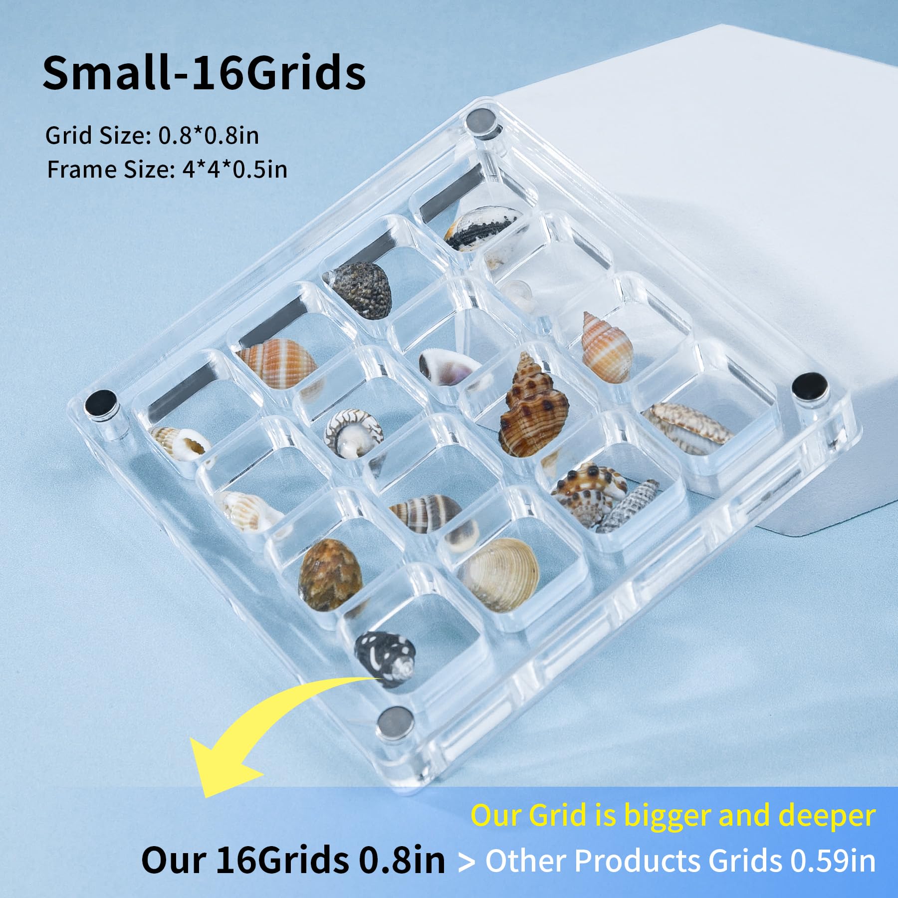 Multi-Style Clear Acrylic Magnetic Seashell Display Collecting Box, Acrylic Shadow Box for Tiny Treasure Hunting Seashell Holder Display Grid Cabinet Case Box,Display Seashell Jewelry Crystal