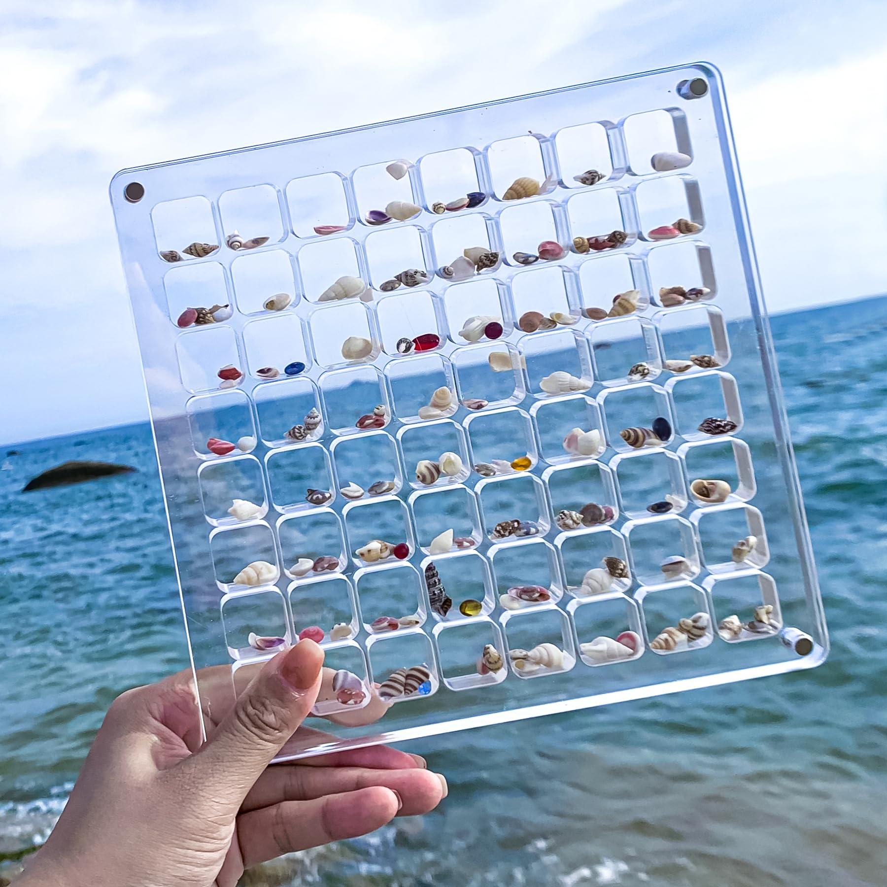 Multi-Style Clear Acrylic Magnetic Seashell Display Collecting Box, Acrylic Shadow Box for Tiny Treasure Hunting Seashell Holder Display Grid Cabinet Case Box,Display Seashell Jewelry Crystal