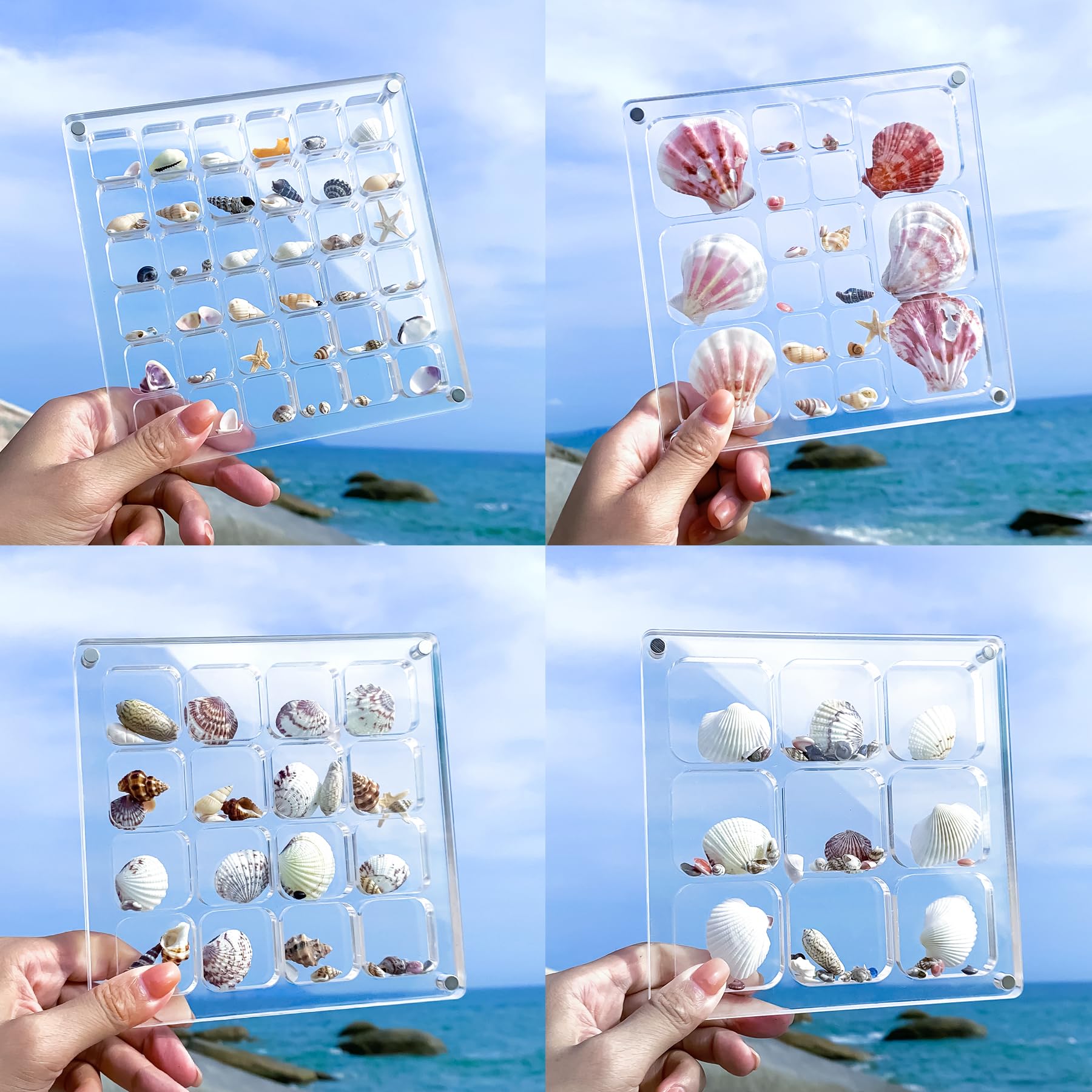 Multi-Style Clear Acrylic Magnetic Seashell Display Collecting Box, Acrylic Shadow Box for Tiny Treasure Hunting Seashell Holder Display Grid Cabinet Case Box,Display Seashell Jewelry Crystal
