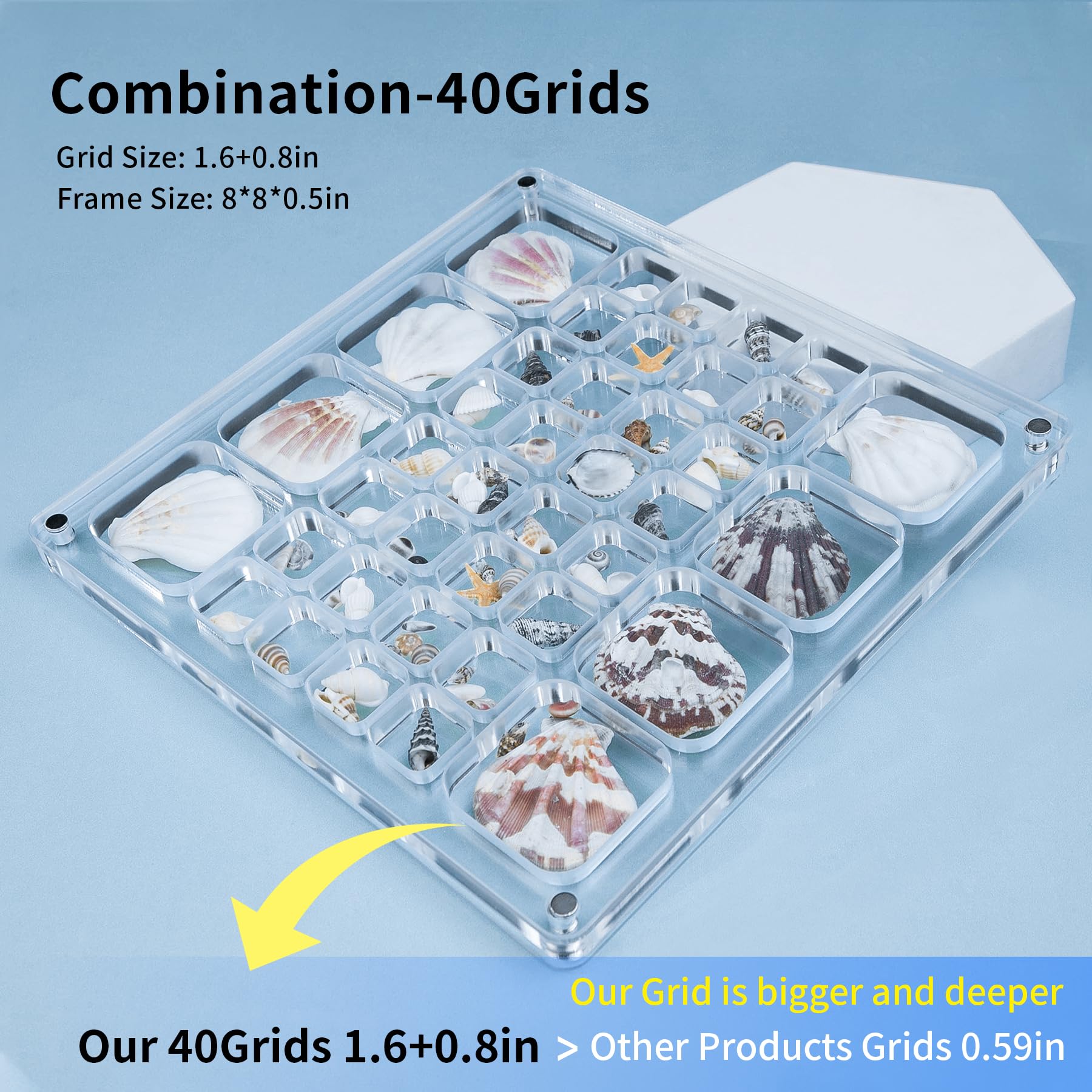 Multi-Style Clear Acrylic Magnetic Seashell Display Collecting Box, Acrylic Shadow Box for Tiny Treasure Hunting Seashell Holder Display Grid Cabinet Case Box,Display Seashell Jewelry Crystal