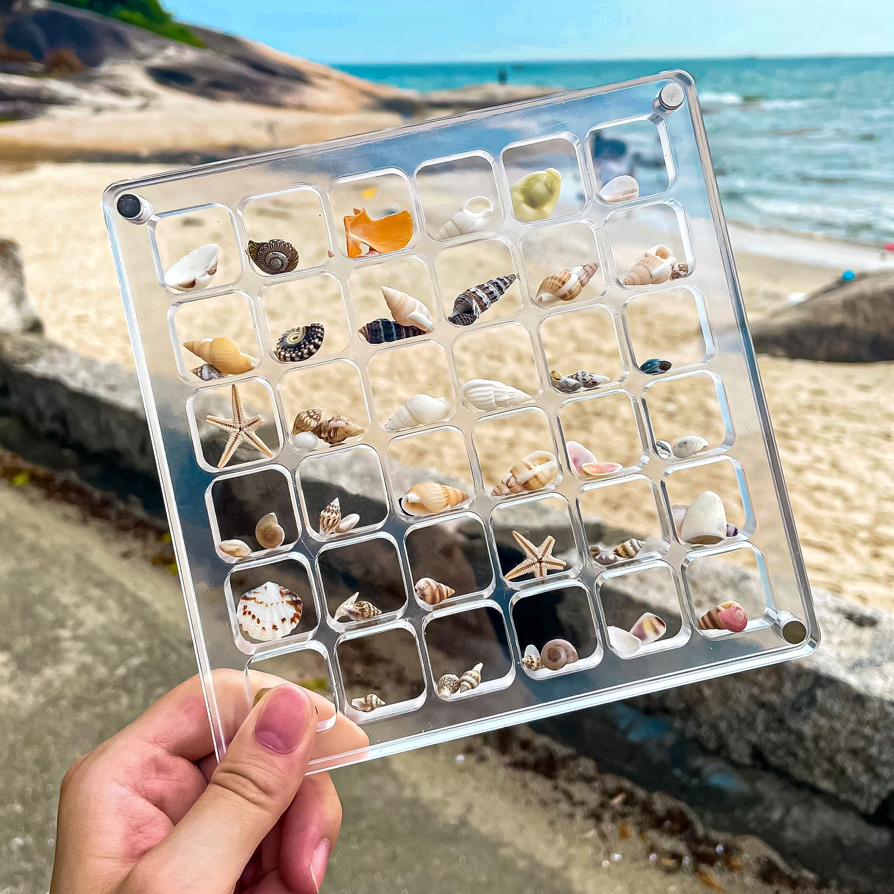 Multi-Style Clear Acrylic Magnetic Seashell Display Collecting Box, Acrylic Shadow Box for Tiny Treasure Hunting Seashell Holder Display Grid Cabinet Case Box,Display Seashell Jewelry Crystal