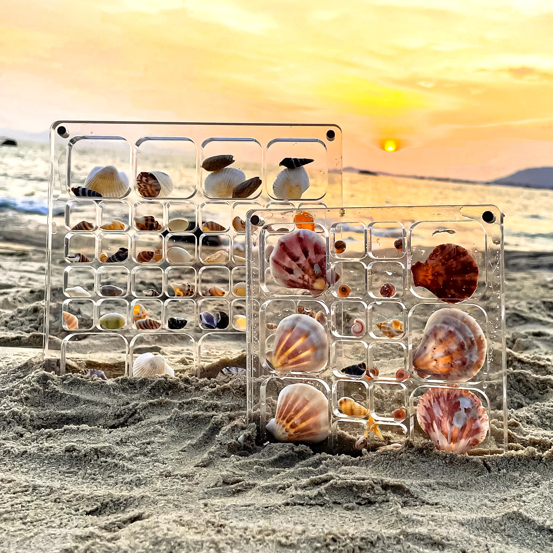 Multi-Style Clear Acrylic Magnetic Seashell Display Collecting Box, Acrylic Shadow Box for Tiny Treasure Hunting Seashell Holder Display Grid Cabinet Case Box,Display Seashell Jewelry Crystal