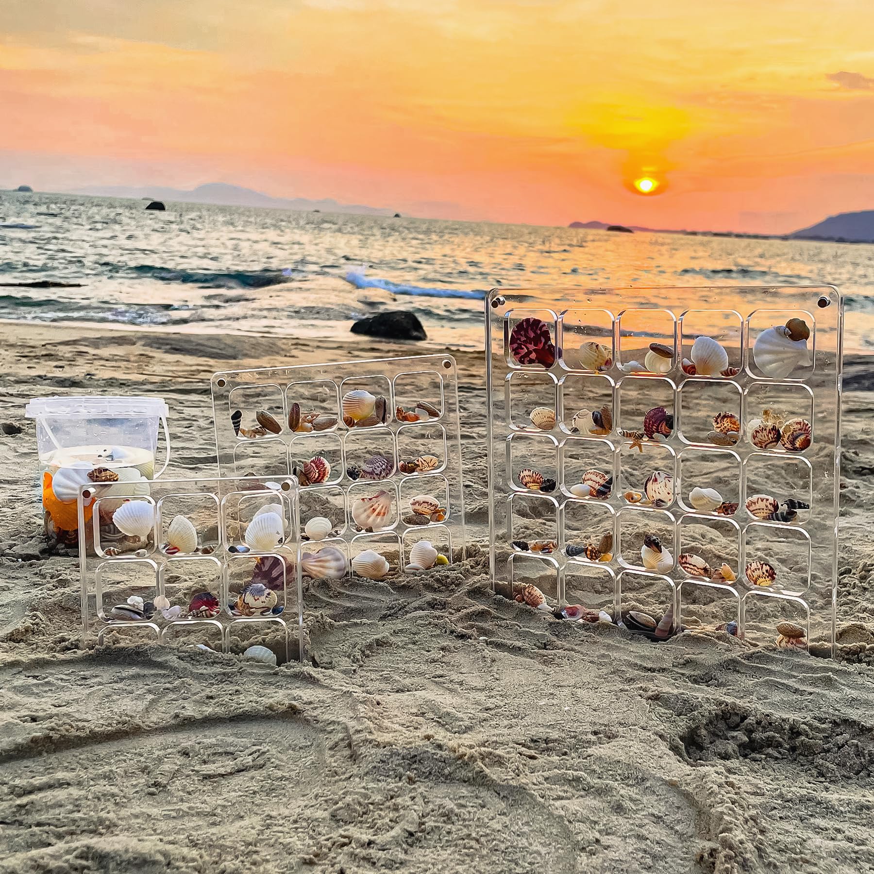Multi-Style Clear Acrylic Magnetic Seashell Display Collecting Box, Acrylic Shadow Box for Tiny Treasure Hunting Seashell Holder Display Grid Cabinet Case Box,Display Seashell Jewelry Crystal