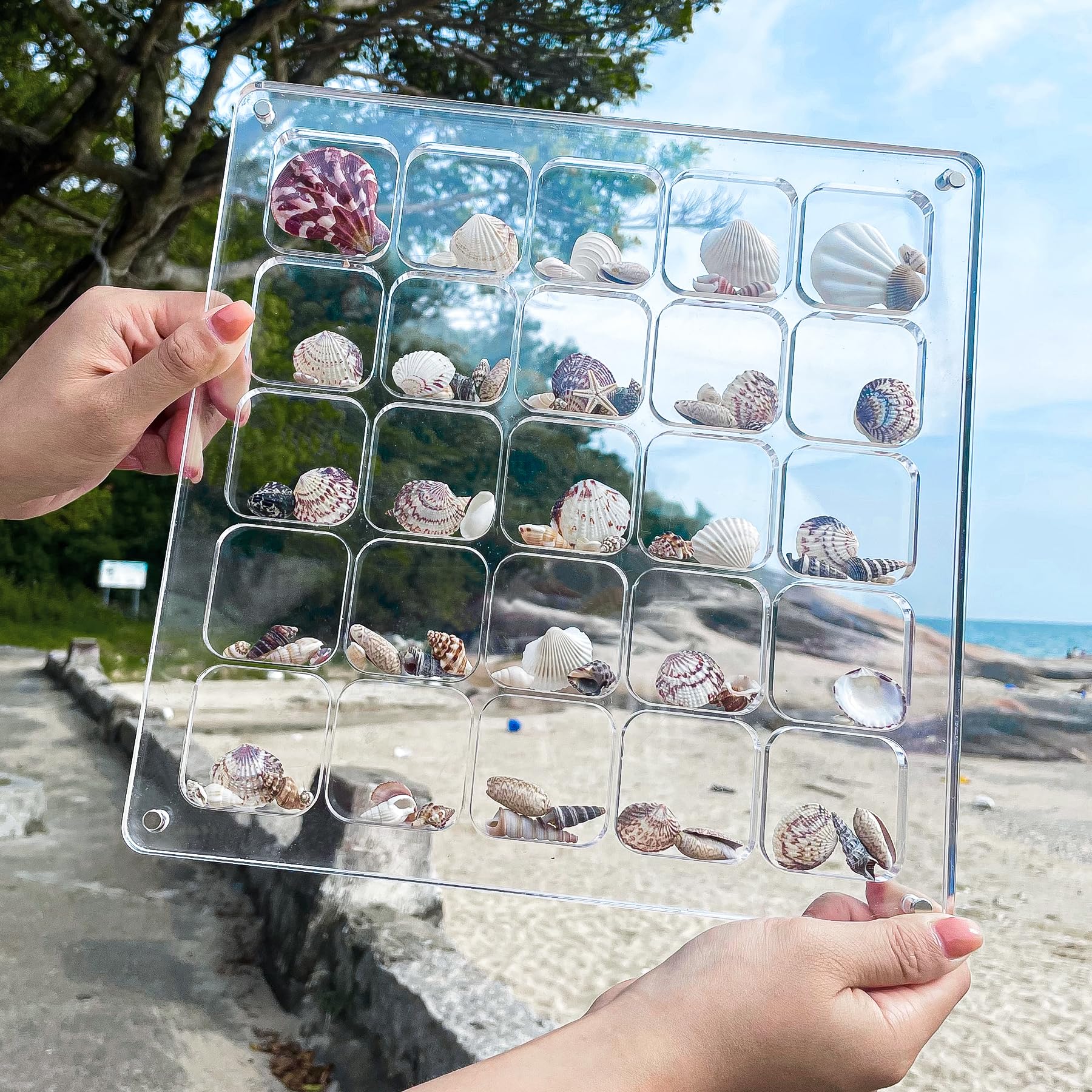 Multi-Style Clear Acrylic Magnetic Seashell Display Collecting Box, Acrylic Shadow Box for Tiny Treasure Hunting Seashell Holder Display Grid Cabinet Case Box,Display Seashell Jewelry Crystal
